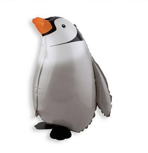 Penguin animal pet walking - penguin, animal/pet