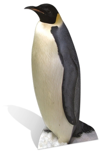 Penguin lifesize cardboard - lifesize,